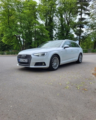 Audi A4 cena 81900 przebieg: 195000, rok produkcji 2016 z Ziębice małe 379